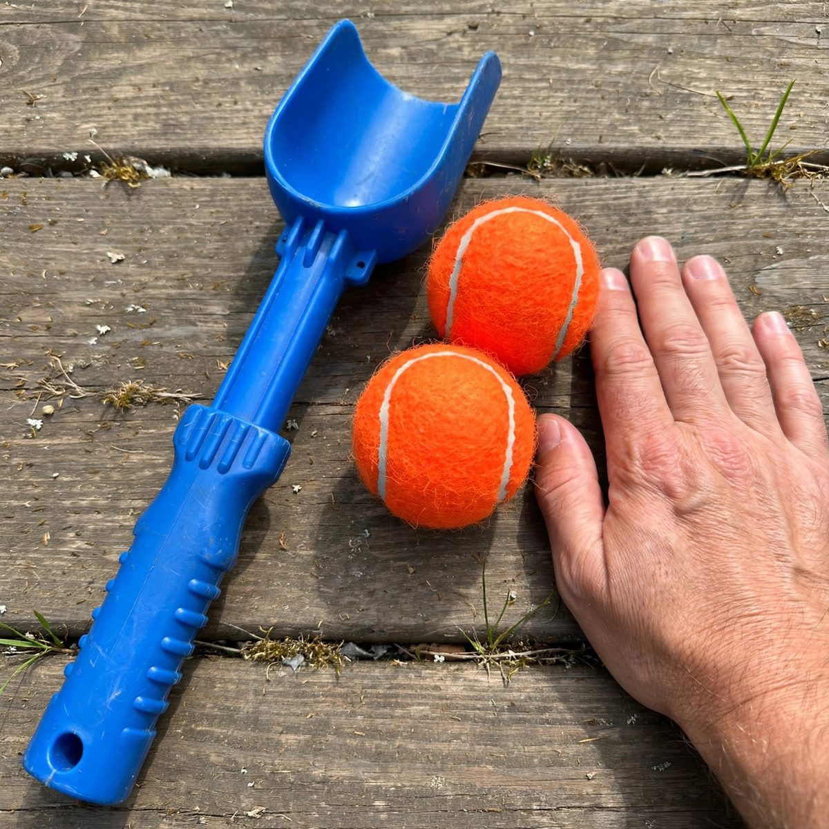 WiggleWhisk Ball Launcher Starter Set — view 5