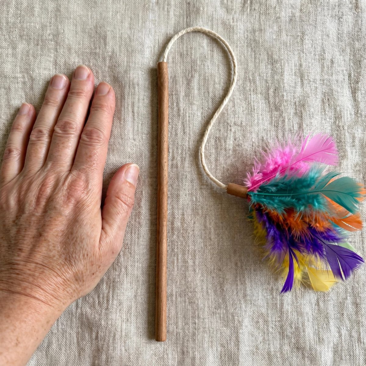 WiggleWhisk Feather Wand Cat Toy — view 5